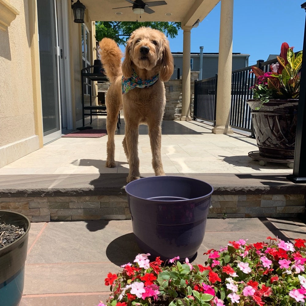 Meet your Posher, Jennifer